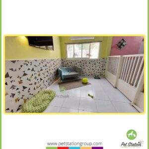 Spacious Luxury Suite