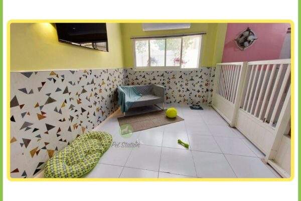 Spacious Luxury Suite