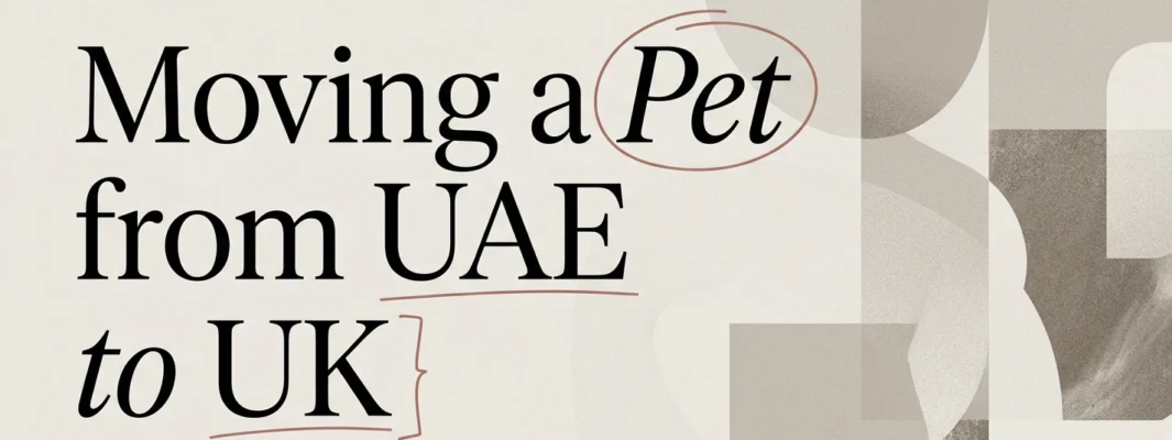 Moving a Pet from the UAE to the UK: Step-by-Step
