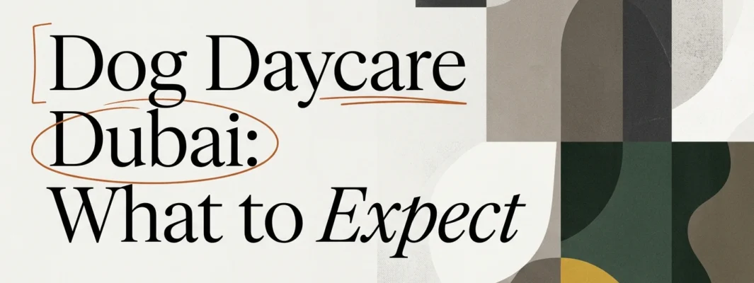 Dog Daycare Dubai: What to Expect and How to Choose